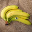 Bananas - Organic - Bunch (5) For Sale