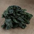 Kale - Cavolo Nero - Organic - Bunch on Sale