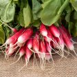 Radish - Bunch - Organic - Each For Discount