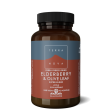 Terranova Elderberry & Olive Leaf Powder, 40gr on Sale