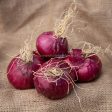 Onions - Red - Organic 500g Online Hot Sale