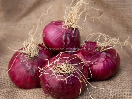 Onions - Red - Organic 500g Online Hot Sale