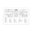 MyBio TSH (Thyroid Stimulating Harmone) Rapid Test For Sale