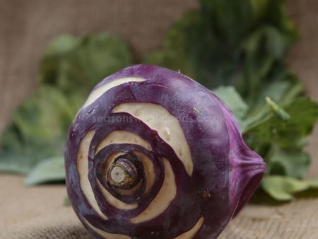 Kohl Rabi - Organic - Each Fashion