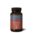 Terranova Dynamic Synergy, 50 VCapsules Hot on Sale