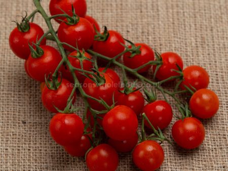 Tomatoes - Cherry Vine - Organic - 250g Online now