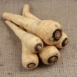 Parsnips - Organic - 500g Cheap