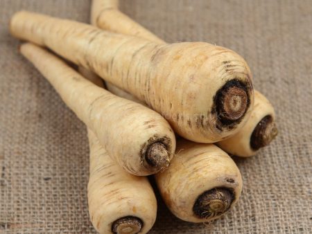 Parsnips - Organic - 500g Cheap