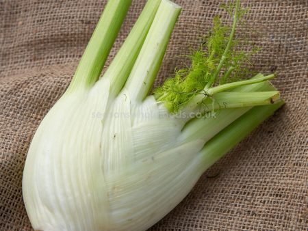 Fennel - Organic - Each Hot on Sale