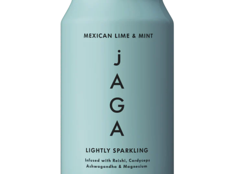 jAGA Drinks Mexican Lime & Mint, 330ml Online Sale